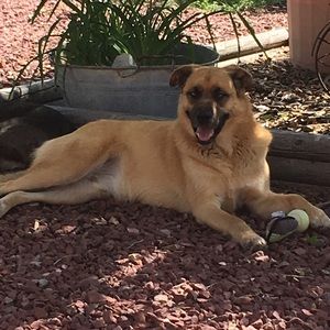 Meet your Posher, Jyllian